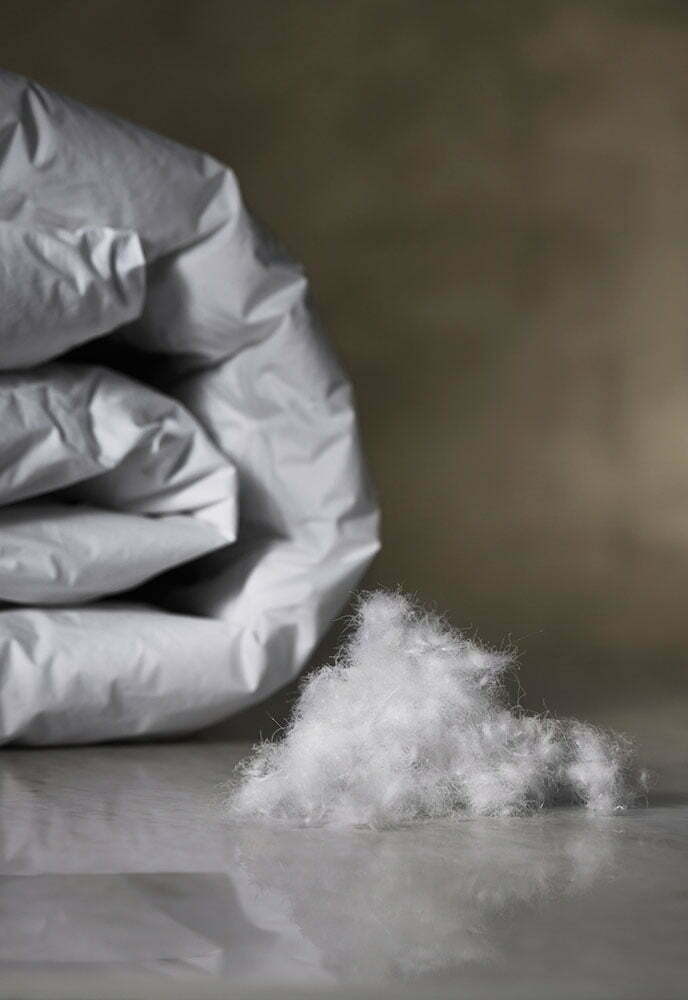 European White Goose, 90% Down Duvet, Fill Power 755