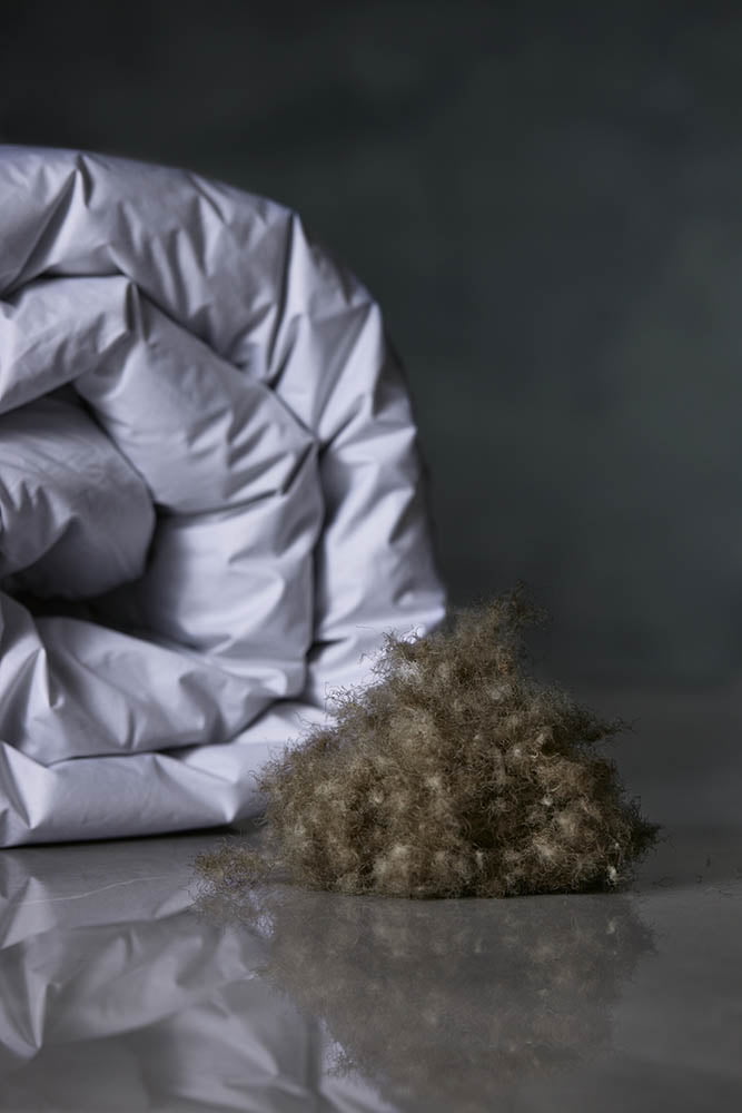 Norwegian Eiderdown Duvet, Hand picked, limited supply