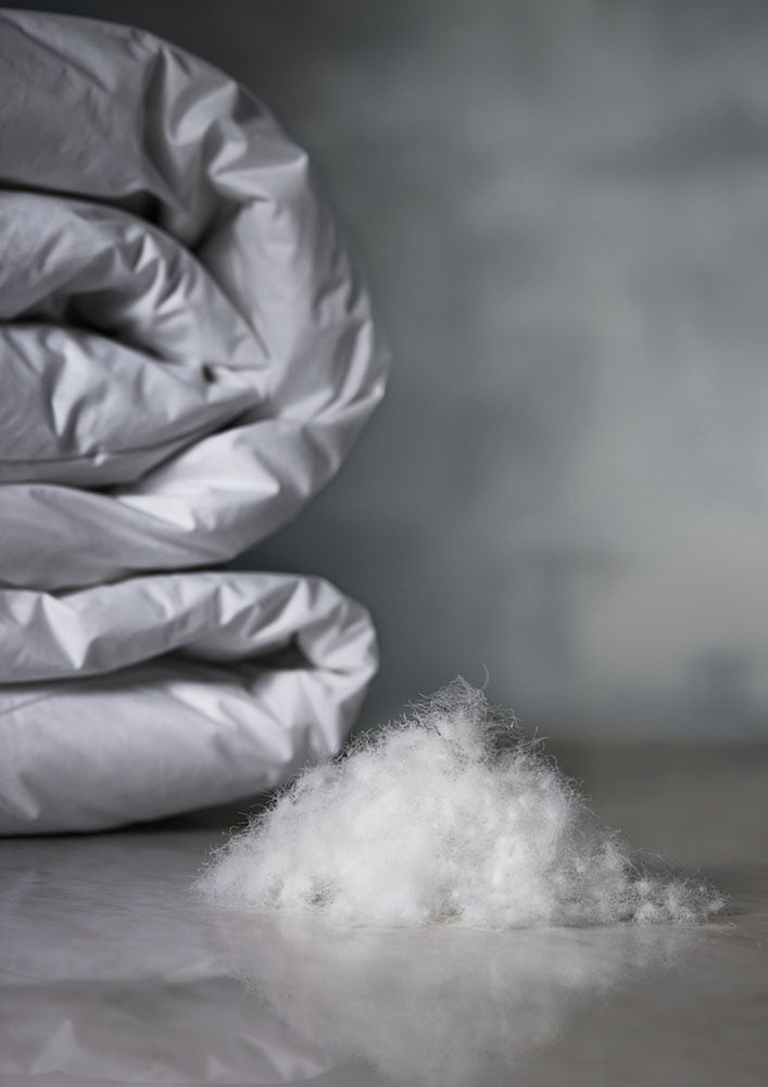 European White Goose, 100% Down Duvet, Fill Power 850