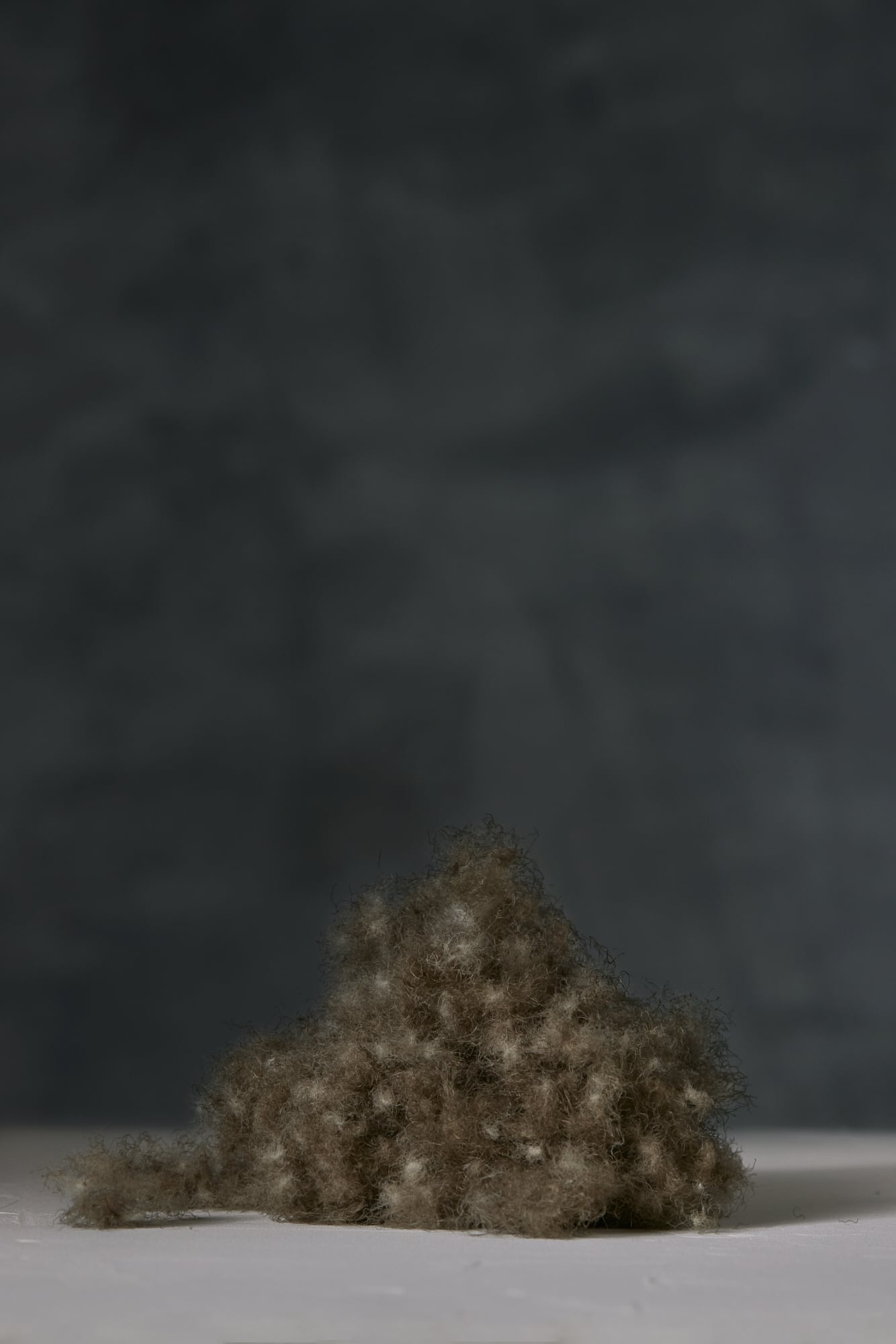 Norwegian Eiderdown Duvet, Hand picked, limited supply - Image 2